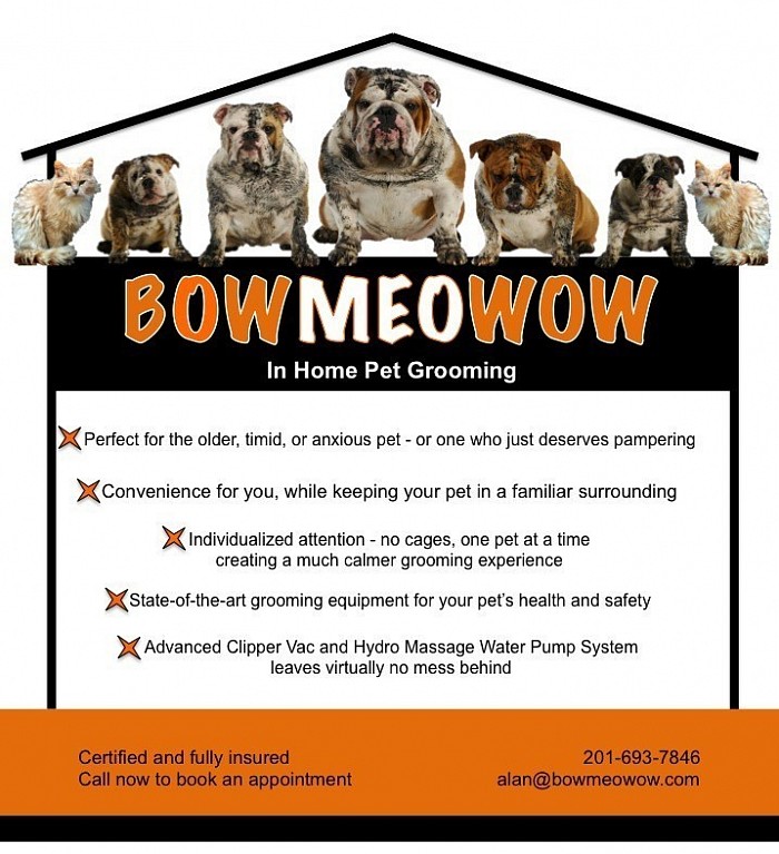 Bowmeowow Dog Grooming Sevices